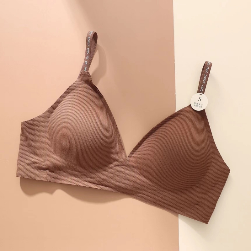 Full Coverage Bra - Smooth Ice Silk Wirefree Bra Modest